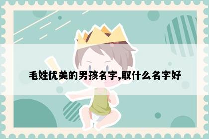 毛姓优美的男孩名字,取什么名字好